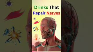 Drinks That Repair Nerves [upl. by Veda116]