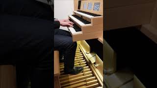 Louis Vierne  Cortège 3 Improvisations  Dudelange Hauptwerk [upl. by Fleeman]