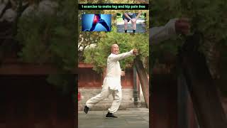 Happy Leg Kicks Aerobics to Boost Cardiovascular Health traditionalkungfu health martialarts [upl. by Hut500]