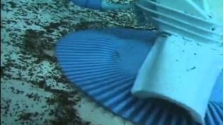 Kreepy Krauly Classic Pool Cleaner Installation Part 5 of 6—Operation [upl. by Tychonn331]