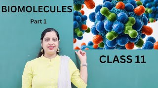 Biomolecules l Introduction l Carbohydrates l NEET 2025 [upl. by Doyle]