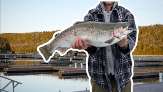 Catching Monster GREAT LAKES Rainbow TroutDock Fishing [upl. by Arrakat]