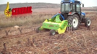 Triturador restos de poda en viña  Crusher prunings in vineyard [upl. by Pelage]