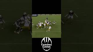 Game Winning Touchdown Run for Notre Dame [upl. by Esmaria559]