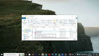 How To Copy Path in File Explorer in Windows 11 2024 [upl. by Leuqar]