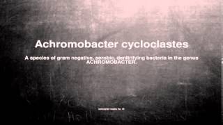 Medical vocabulary What does Achromobacter cycloclastes mean [upl. by Arlinda195]