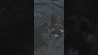 Dogmeat german shepherd Fallout4 [upl. by Hadeis]