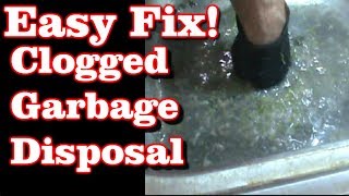 Clogged Garbage Disposal EASY FIX [upl. by Angie]