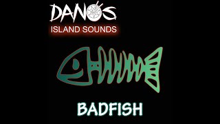 Steel Drum  Sublime Badfish by Danos Island Sounds [upl. by Alliscirp]