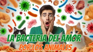 ¡Enfermedad Compartida Bartonella [upl. by Aryahay]