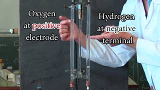 Electrolysis of water in a Hoffman apparatus [upl. by Conrad]