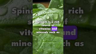 SPINACH Holds The Secret To AMAZING Health [upl. by Anuqahs574]