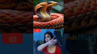 NAAGIN vs NAAGIN 6🐍🐍🐍💝💖💗💓 shorts [upl. by Asena]