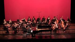 Mozart  Piano Concerto n°20 I  K Fukuma  OCNE  N Krauze [upl. by Phio]