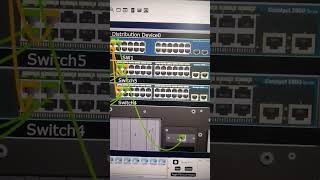 Physical look of devices in Cisco Packet Tracer ciscoccna ciscopackettracer [upl. by Dympha289]