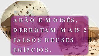 ARÃO E MOISÉS DERROTAM MAIS 2 FALSOS DEUSES EGÍPCIOS PARTE 07 [upl. by Alexine]