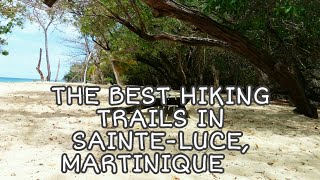 The best Hiking trails in SainteLuce Martinique 🇫🇷caraibes [upl. by Earlie343]