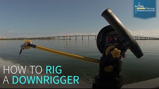 How To Rig a Downrigger [upl. by Yrogreg]