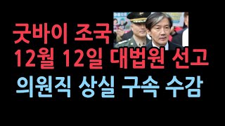 조국 12월 12일 의원직 상실 구속 수감 피선거권 박탁재판지연의 전형 기소후 5년 걸려 최종판결 [upl. by Annadiane]