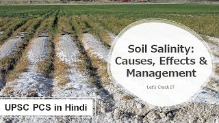 What is Soil Salinization Causes Impact Management Prevention of Saline soil  UPSC PCS in Hindi [upl. by Arytal592]