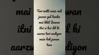 Teri mitti lyrics [upl. by Oilegor831]