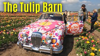 The Tulip Barn 2023 part 2 [upl. by Lowson666]