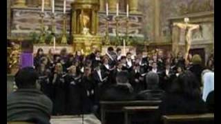 Coro del Nabucco Va pensiero [upl. by Norraj561]