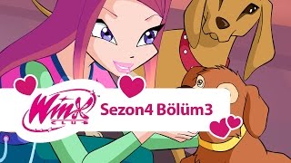 Winx Club  4 Sezon 3 Bölüm  Dünyadaki Son Peri  TAM BÖLÜM [upl. by Clarke]