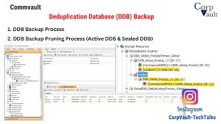 Commvault  Deduplication Database DDB Backup [upl. by Eadrahc]