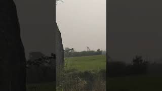 Shikaar ka season start fakhta shuruexplore birdhunting hunting viralvideo [upl. by Aiekal]