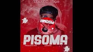 Zestan Zero  Pisoma Prod Dj Neuso 2o24 MN [upl. by Eyllek]