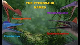 The Pterosaur Names My Post [upl. by Aliac]