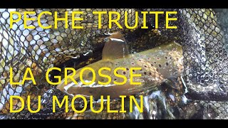 PECHE TRUITE LA GROSSE DU MOULIN [upl. by Rowen]