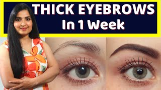 Get Thicker Brows with Bella Vita Growbrow [upl. by Davine835]