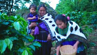 Mi Cultura Video Oficial  Grupo Soberano De Tierra Mixteca [upl. by Miun]