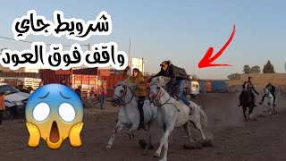 Marché de chevaux au Maroc سوق ليوم زوين مع اثمنة الخيول € والحمد لله رجعنا من جديد من بعد المرض🥰 [upl. by Yrtnahc]