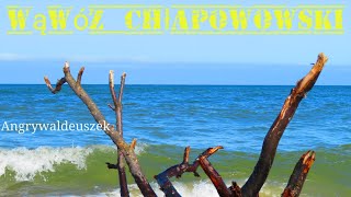 Chłapowo plaża Władysławowo  Camping Horyzont [upl. by Arihsa]