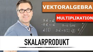 Wie multipliziere ich einen Vektor mit einen Skalar Skalarmultiplikation Vektor  Skalarprodukt [upl. by Day]