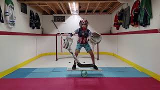 DArtagnan Tapler Winter 18 Off Ice Hockey Goalie Training at Home [upl. by Othilie726]