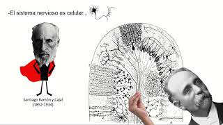 Clase N°4 Anatomía y Fisiología Comparada [upl. by Eaj882]