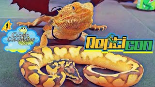 Repticon Pembroke Pines 2022 The largest reptile show in South Florida [upl. by Ramonda]