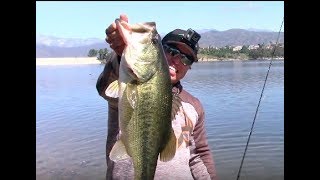 MONSTER BASS FISHING AT PUDDINGSTONE LAKE [upl. by Tahp]