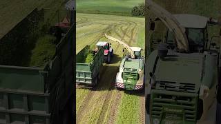 🚜 Krone Combine amp Massey Ferguson Tractor Team Up 🌾 Epic Silage Collection [upl. by Eelra525]