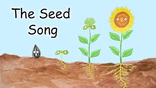 The Seed Song  What Do Seeds Need [upl. by Ruomyes]