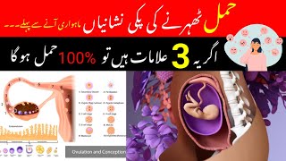 Top 3 Early Pregnancy Symptoms  Hamalki Alamat In UrduHindi  Implantation Symptoms by pregno [upl. by Hecker778]