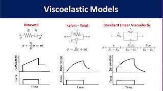 Polymer Viscoelasticity [upl. by Rosenzweig]