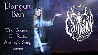 Cailleach  Pangur Bán The Secret Of Kells Aislings Song cover [upl. by Macknair]