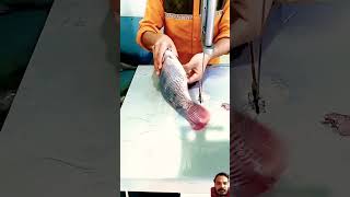 Amazing tilapia fish cutting ✂️ fish tilapia cuttingskills fishing [upl. by Zitah749]