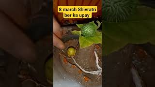 8 March ber ka upaypanditpradeepjimishra virel viralshort shortsfeed upay [upl. by Hoes]