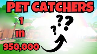 I Hatched an Insanely Rare Secret Pet in Roblox Pet Catchers [upl. by Edison]